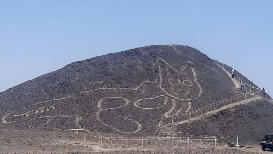 Nazca: Maria Reiche Museum and Nazca Lines Viewpoint Tour - Inside the Maria Reiche Museum: The Person Behind the Mystery