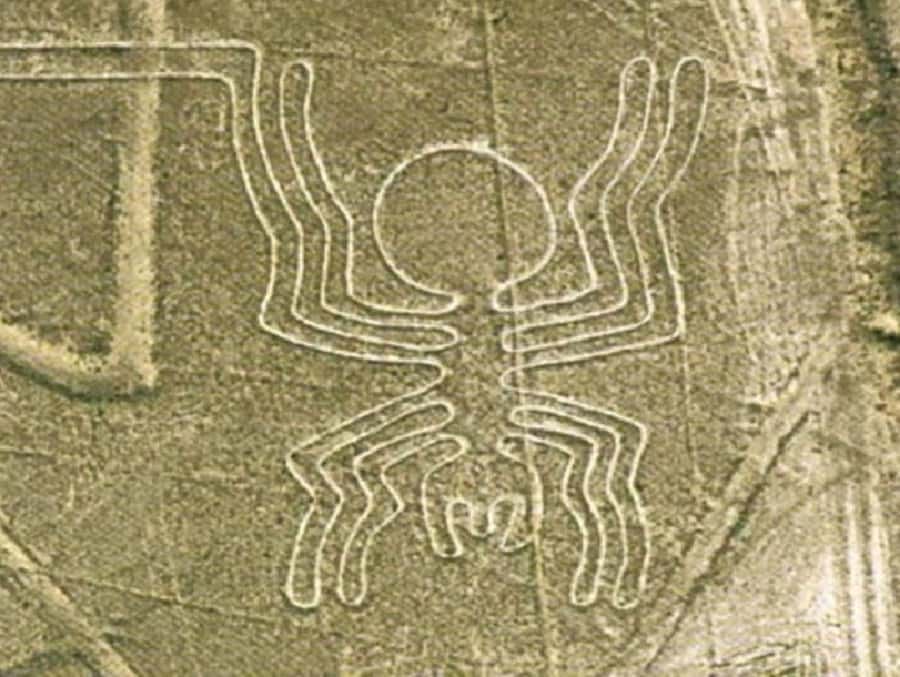 Nazca: Maria Reiche Museum and Nazca Lines Viewpoint Tour - Who This Tour Is Best For (and Who Should Skip It)