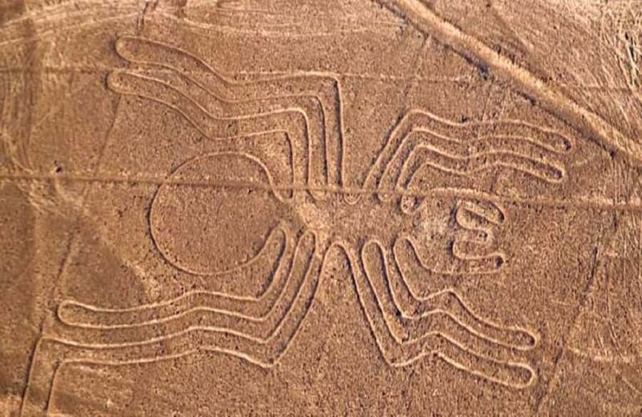 Nazca: Overflight of the Nazca Lines - Nazca to the aerodrome: shared transfers in the real world