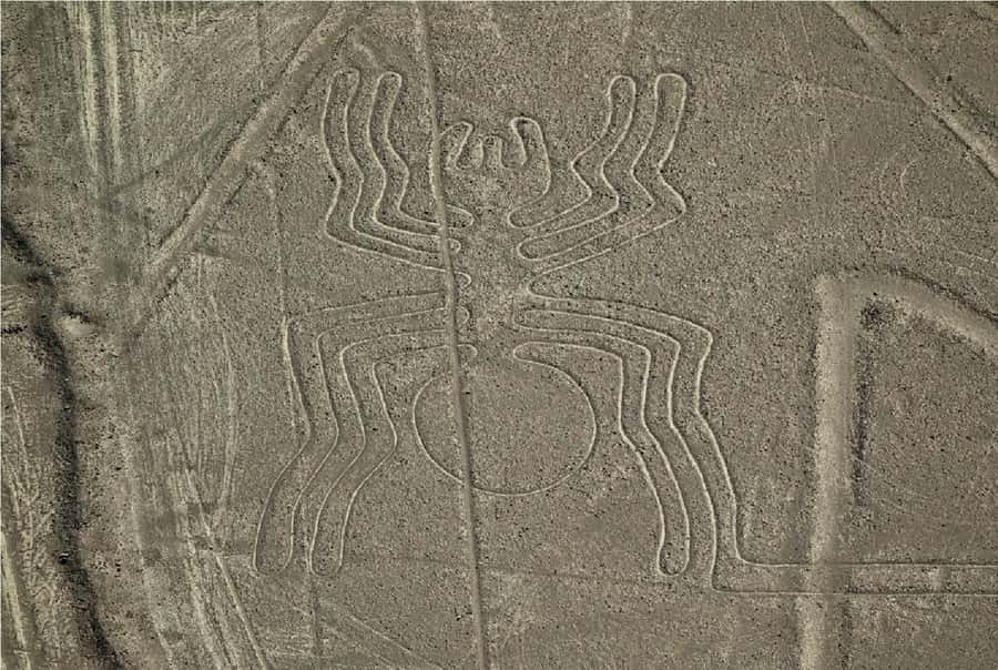 Nazca: Overflight of the Nazca Lines - The long safety briefing that makes the flight feel smoother