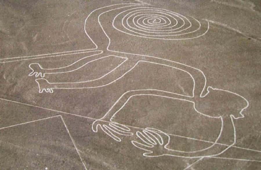 Nazca: Overflight of the Nazca Lines - Group dynamics, bilingual guidance, and language expectations