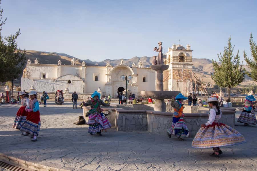 Offer Price: Colca Canyon One Day in Arequipa with Breakfast - Pampa Cañahuas: vicuñas and the Aguada Blanca and Salinas area