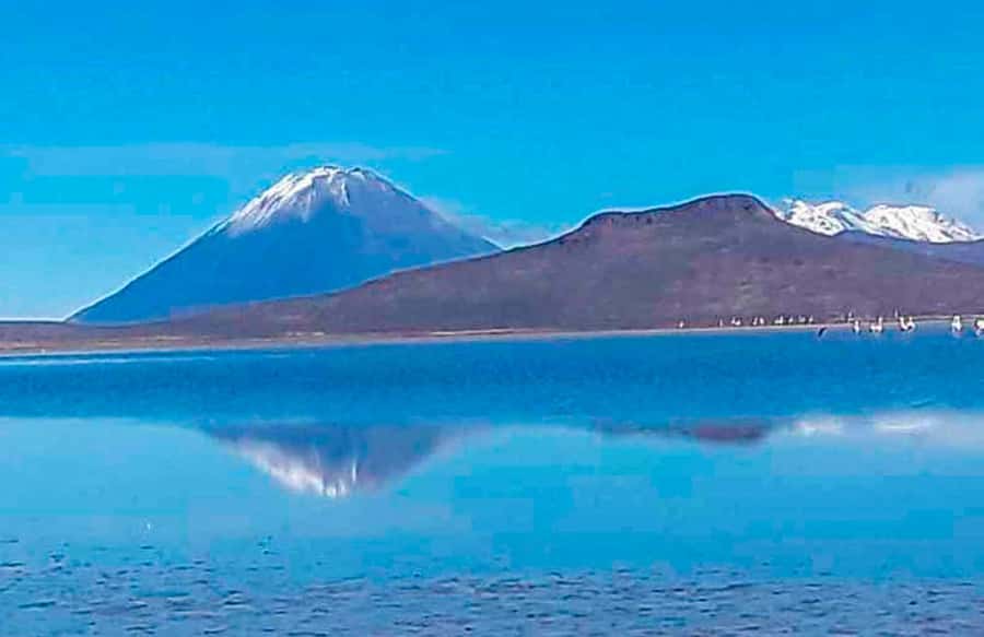 Offer Price Tour Salinas Lagoon and National Reserve 8 hours - Why Salinas Lagoon and the Salt Flats feel like a different kind of Peru