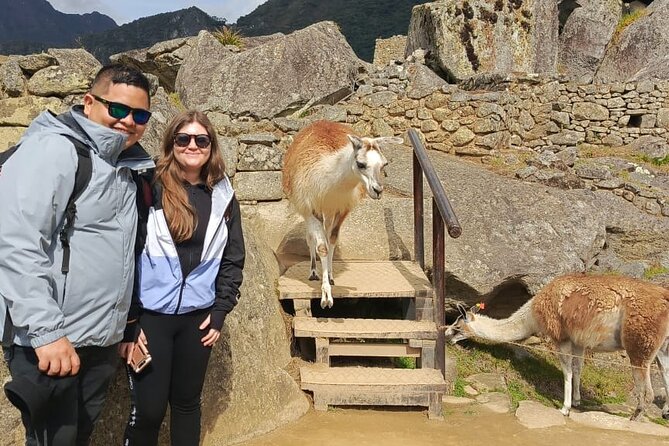 One-day group excursion to Machu Picchu from Cusco - The guide factor: when Roy and Miguel Angel set the tone