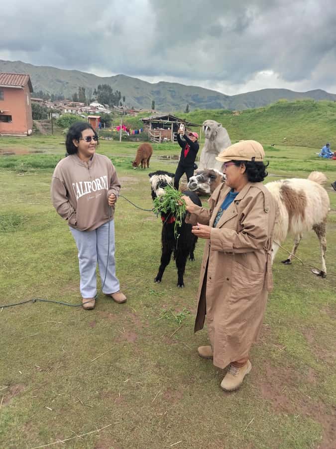Open-top bus in the city of Cusco, 3-hour tour with panoramic views - The snacks question: what’s included and what you might pay for