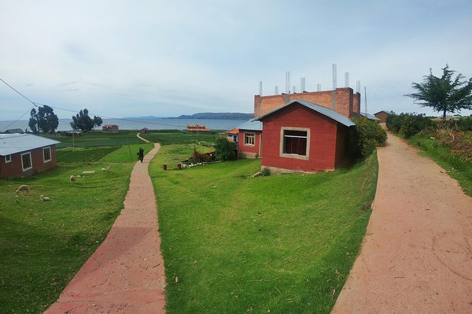 Overnight Luquina Island Homestay Experience from Puno - Food on the homestay schedule, and why it matters more than it sounds