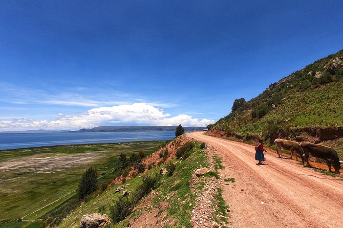 Overnight Luquina Island Homestay Experience from Puno - Day 2: breakfast, sheep and crops, then back to Puno around 3:45 pm