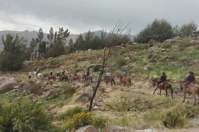 Overnight Tour: Colca Canyon Including Horse Riding from Arequipa - Uyo Uyo archaeological site: the walking versus riding reality