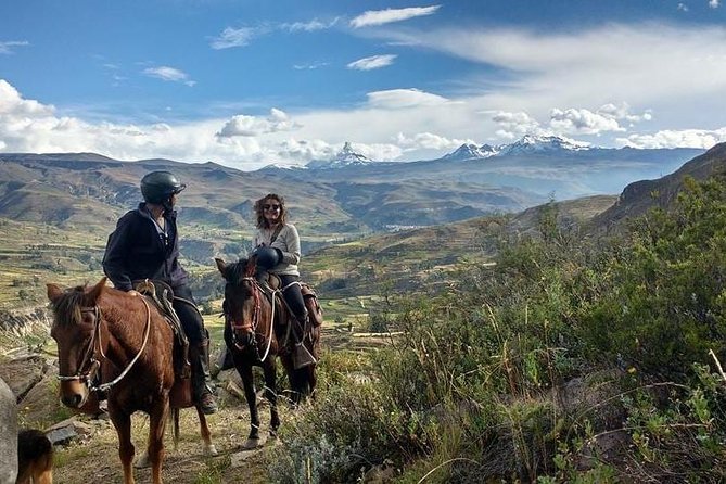 Overnight Tour: Colca Canyon Including Horse Riding from Arequipa - Day 2 at 6:00: Mirador Cruz del Condor and condor odds