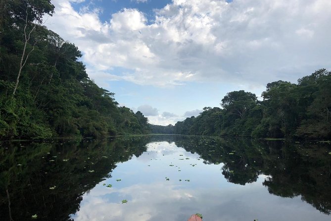 Pacaya Samiria Mystical 3 Days - Key Highlights You’ll Actually Feel