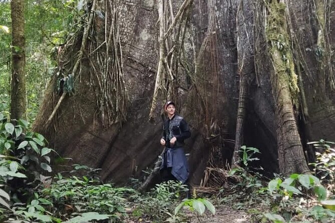 Pacaya Samiria Mystical 3 Days - Day 2 Canoeing for Sloths, Then Medicinal Plants and Alligator Night Searches