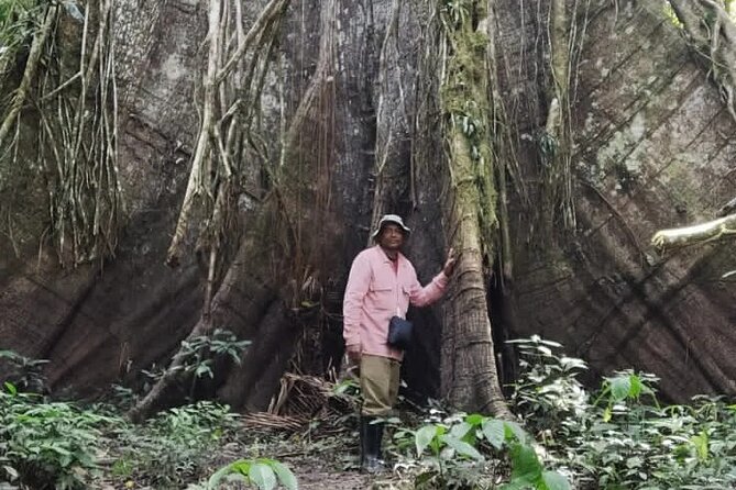 Pacaya Samiria Mystical 3 Days - Guides, Skippers, and Why Safety Feels Intentional Here