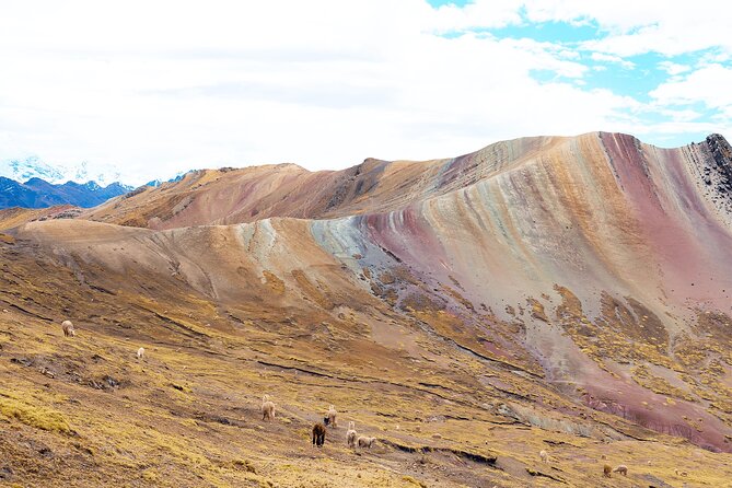 Palccoyo Rainbow Mountain Full Day Tour from Cusco - Stop 3: Nevado Ausangate views, why the distance still matters