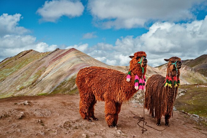Palccoyo Rainbow Mountain Tour - Scenic Hike & Andean Lunch - Stone Forest rock towers, plus the Ausangate Glacier viewpoint