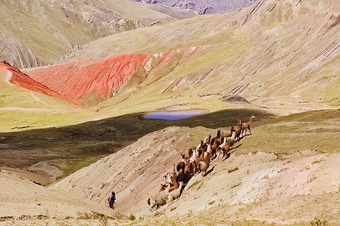 Palccoyo Rainbow Mountains Full Day Tour from Cusco - Price and Value: Is $56.05 a Good Deal?