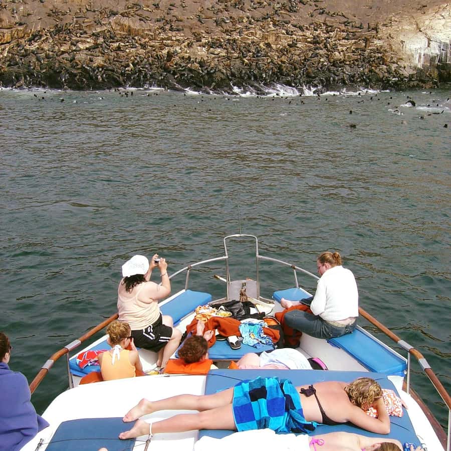 Palomino Islands Yacht Tour and swim alongside the sea lions - Key points I’d put first