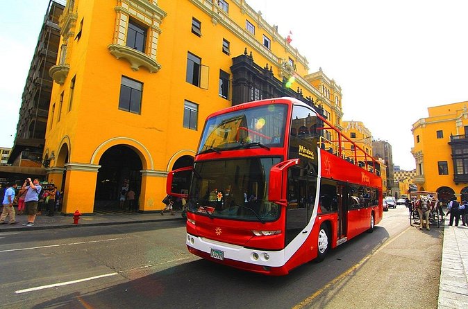 Panoramic Tour the Best of the City in a Single Tour - The Cathedral and Plaza Mayor Moment