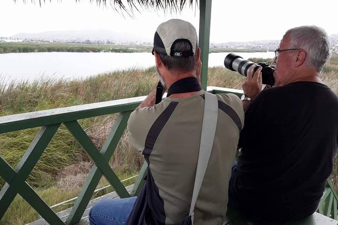 Pantanos de Villa Wildlife Refuge Tour in Lima - Key highlights worth your attention