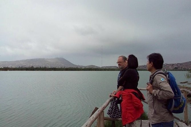 Pantanos de Villa Wildlife Refuge Tour in Lima - The observation tower and boat ride: your best chance to see birds clearly