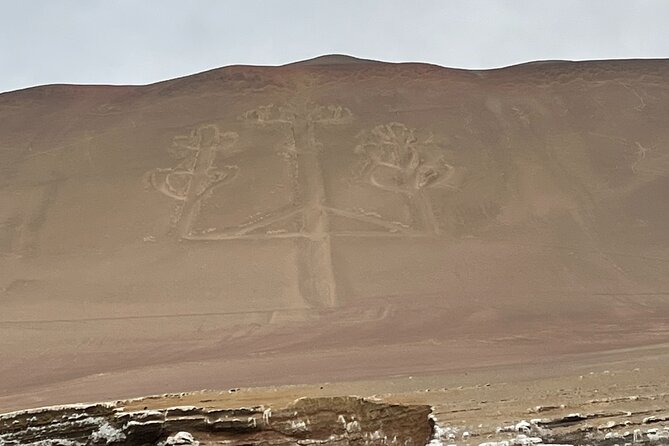 Paracas and Huacachina Exclusive Sunset Picnic Tour - A Full Day From Lima to Paracas, Ica, and Huacachina