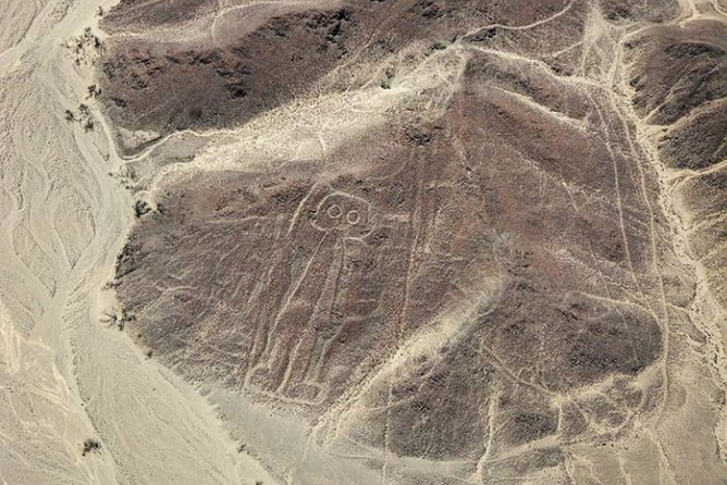 Paracas and Nazca Lines Full Day - Stop 1 at Islas Ballestas: the slider boat ride you actually remember