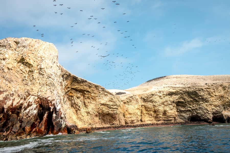 Paracas: Ballestas Island & Nature Reserve all inclusive - Should You Book Paracas: Ballestas Islands and Nature Reserve?