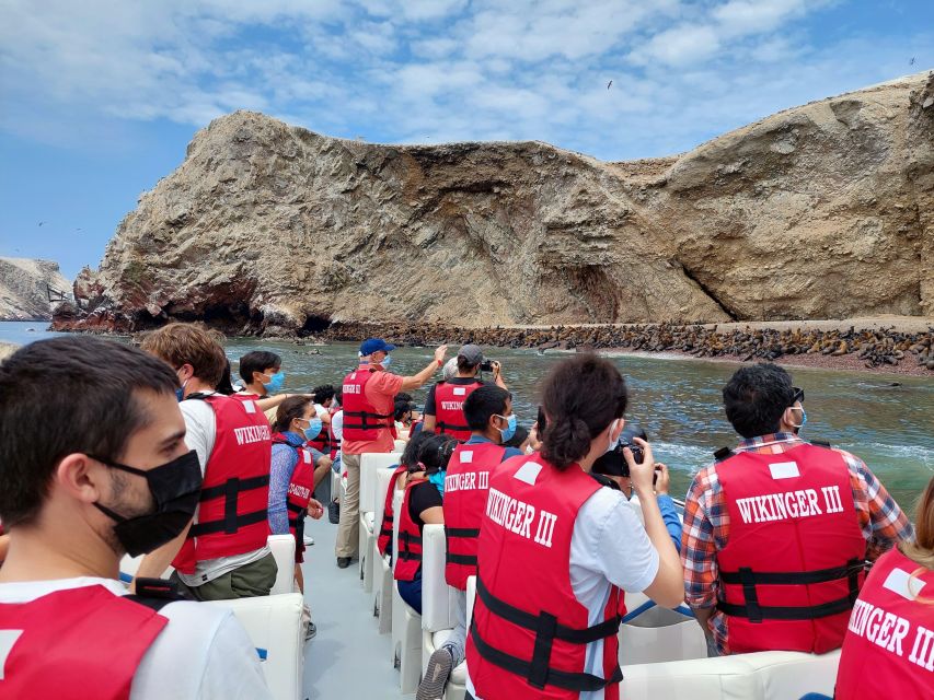 Paracas: Ballestas Island & Nature Reserve all inclusive - Reserva Nacional de Paracas: Viewpoints, Wetlands, Red Beach Color