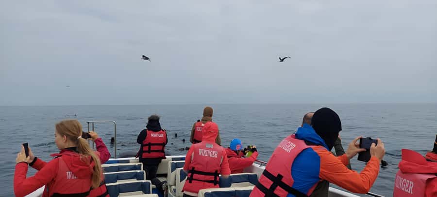 Paracas: Ballestas Island & Nature Reserve all inclusive - Guides Matter Here, and You Can Feel It in the Explanations