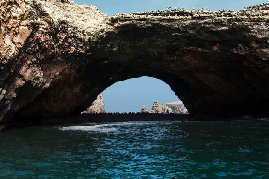 Paracas: Ballestas Island & Nature Reserve all inclusive - What Is Included, What Isn’t, and the Real Value of the $60 Price
