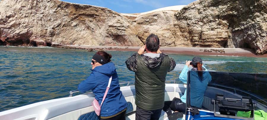 Paracas: Ballestas Island & Nature Reserve all inclusive - Who This Tour Fits Best (and Who Might Want Something Different)