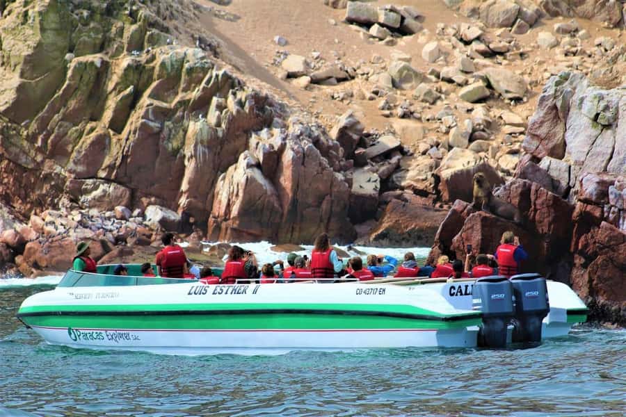Paracas: Ballestas Islands and Candelabra of Paracas Boat - Paracas in Two Hours: What This Boat Tour Delivers