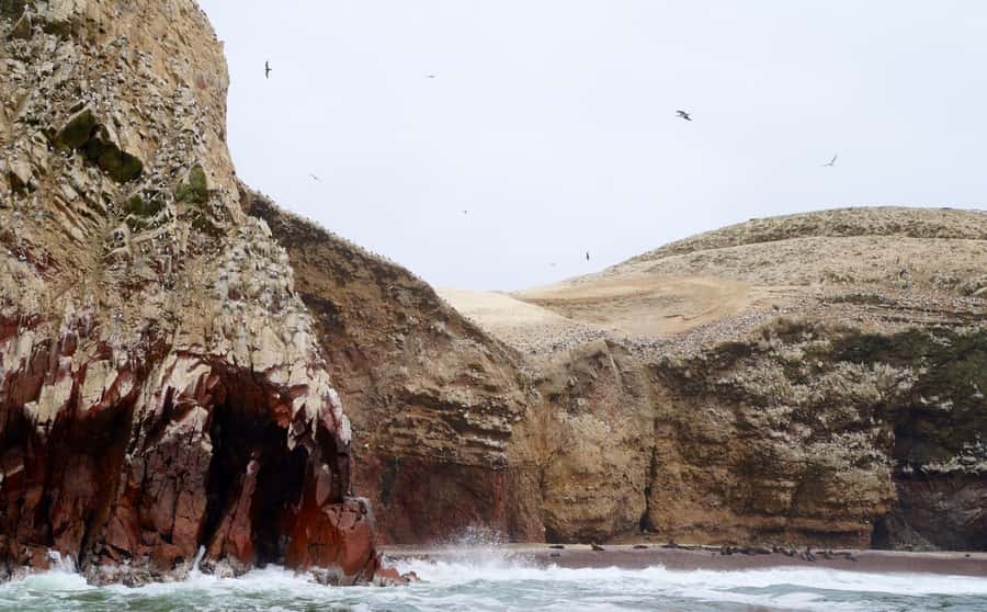 Paracas: Ballestas Islands and Candelabra of Paracas Boat - First Major Stop: The Candelabra of Paracas From the Sea