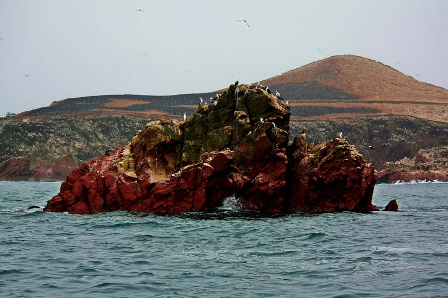 Paracas: Ballestas Islands and Candelabra of Paracas Boat - Wind, Visibility, and Photo Tips That Make a Difference