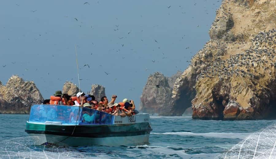 Paracas: Ballestas Islands and Candelabra of Paracas Boat - Who This Tour Fits Best, and Who Should Skip It