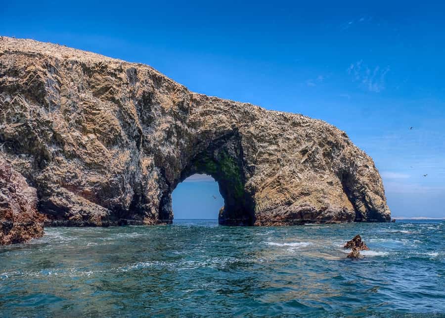 Paracas: Ballestas Islands and Candelabro Boat Tour - Paracas speedboat energy: what makes this outing work