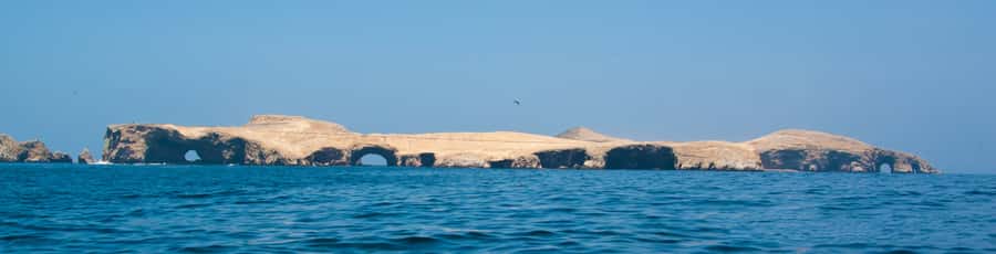 Paracas: Ballestas Islands and Candelabro Boat Tour - The first boat ride: settling in for wildlife spotting