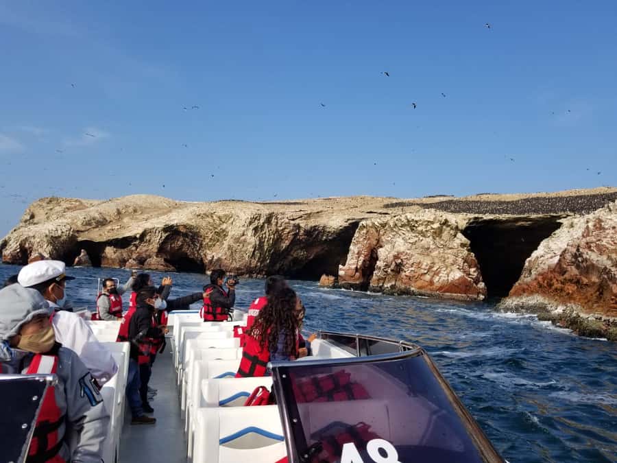 Paracas: Ballestas Islands and Candelabro Boat Tour - Cruise past coastal rock formations: why the drive-by matters