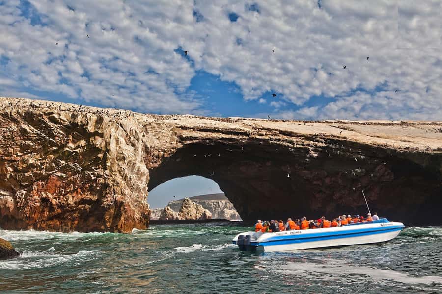 Paracas: Ballestas Islands and Candelabro Boat Tour - Wildlife spotting odds: simple tips that help