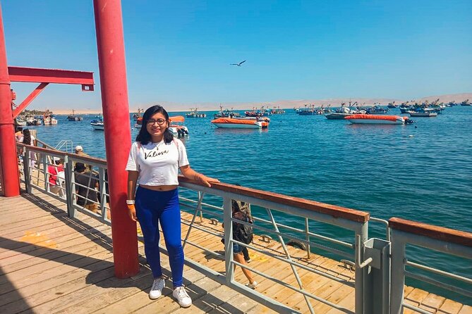 Paracas, Ballestas Islands and Huacachina Guided Tour - A long day that connects three very different places