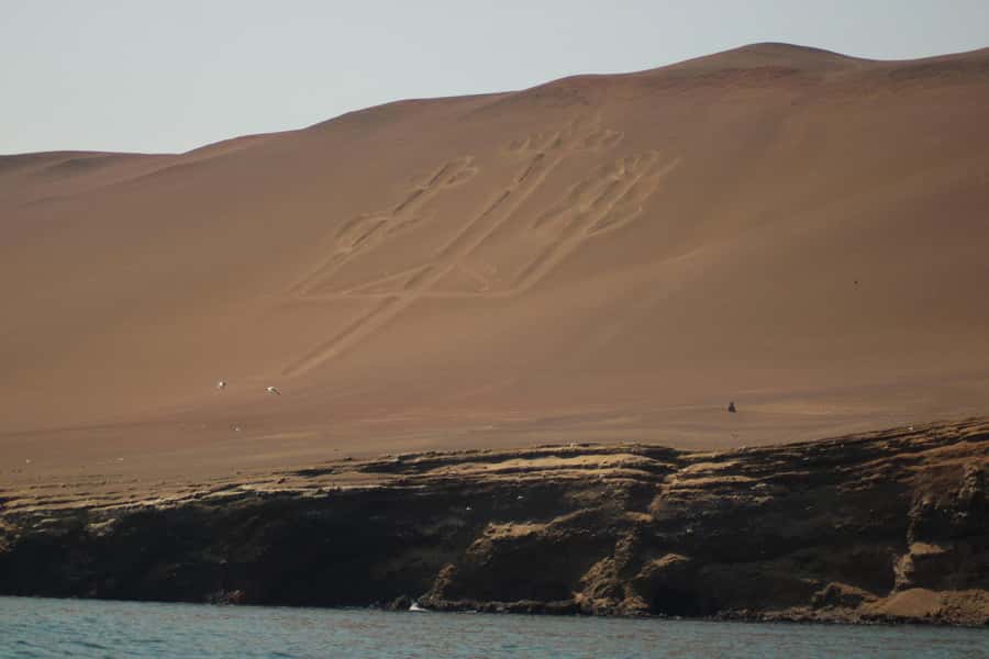 PARACAS: BALLESTAS ISLANDS AND NATIONAL RESERVE - Wildlife watch: what you can actually plan to see