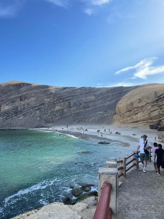 PARACAS: BALLESTAS ISLANDS AND NATIONAL RESERVE - Paracas National Reserve by tourist bus: flamingos, lookouts, and beach time