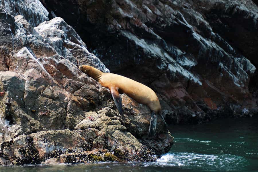 PARACAS: BALLESTAS ISLANDS AND NATIONAL RESERVE - Yumaque Beach, Playa Roja, Itmos Viewpoint, La Mina: what each stop gives you