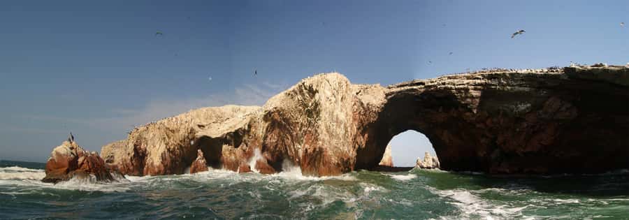 Paracas: Ballestas Islands and Paracas Reserve Tour - Key Points You Should Know Before You Go