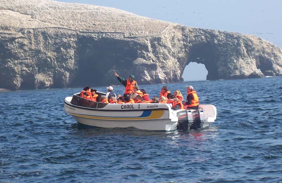 Paracas: Ballestas Islands and Paracas Reserve Tour - From Hotel Pickup to the Pier: What the Morning Flow Feels Like