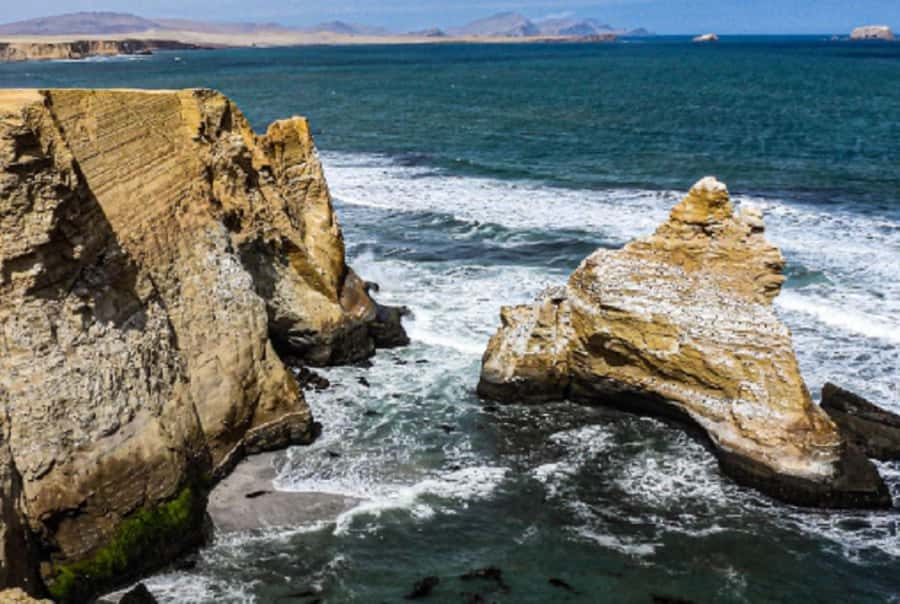 Paracas: Ballestas Islands and Paracas Reserve Tour - Ballestas Islands Wildlife: What You’ll Actually Spot