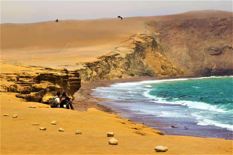 Paracas: Ballestas Islands and Paracas Reserve Tour - Paracas National Reserve: Deserts and Sandstone Cliffs by the Ocean