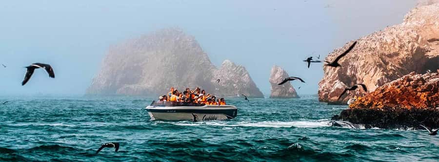 Paracas: Ballestas Islands and Paracas Reserve Tour - The Speedboat Ride Over the Ballestas Route