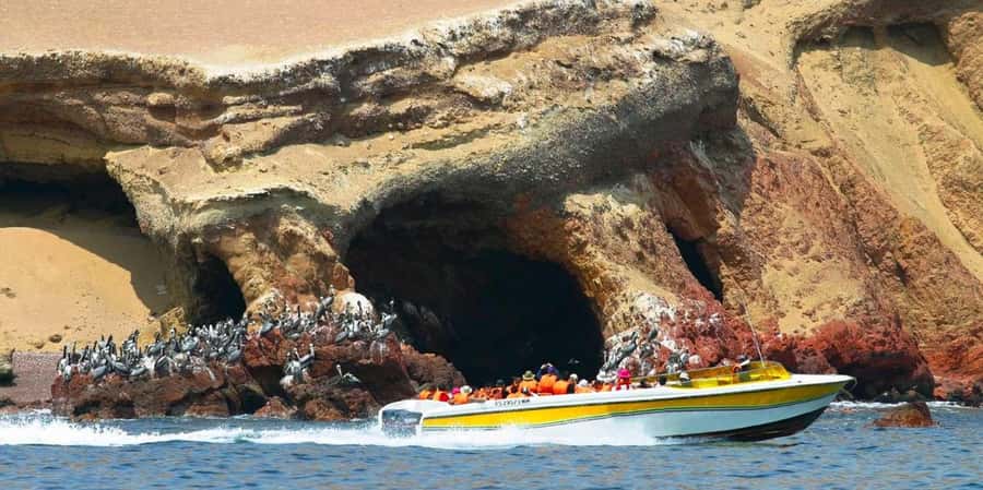 Paracas: Ballestas Islands Boat tour - Islas Ballestas - Paracas to Islas Ballestas: what makes this 2-hour wildlife trip click