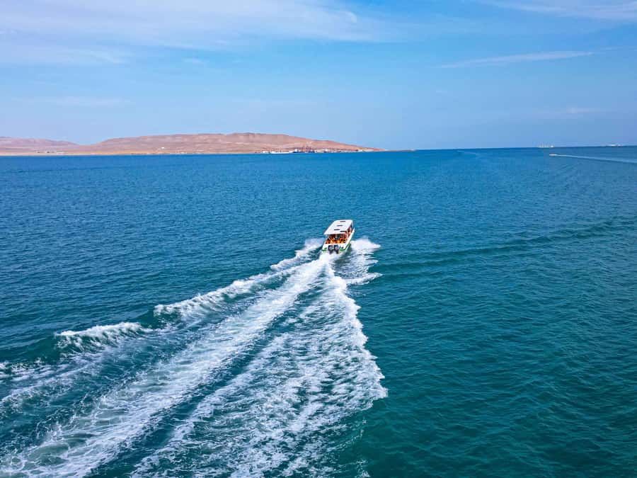 Paracas: Ballestas Islands Guided Boat Tour - Who Should Book This Ballestas Islands Boat Tour