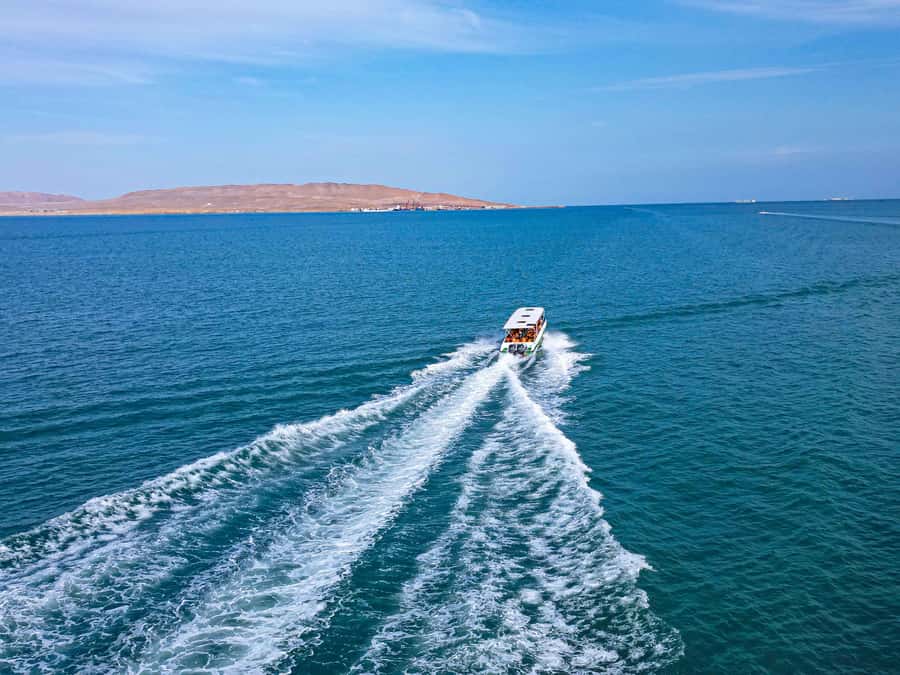 Paracas: Ballestas Islands Guided Boat Tour - Speedboat to Paracas Bay: the quick setup before the wow moment